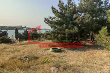 Ведение садоводства, 6 сот.